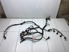 Проводка двигателя Коса моторная 1.3 