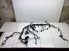 Проводка двигателя Коса моторная 1.4 МКПП F14D4 Шевроле Aveo T250 2005-2011 95987425