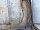 Крыло переднее правое с дефектом Тойота Camry XV30 V30 2001-2006 5380133100