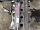 Двигатель 2.4 2AZ 152л.с. Тойота Camry XV30 V30 2001-2006 1900028260