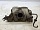 Коллектор впускной Z16XE Опель Zafira A 1995-2005 9158176