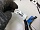 Проводка подторпедная салонная коса Форд Focus 2 2005-2008 6M5T14401EMD