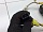Шлейф подрулевой ленточный SRS AirBag Субару Импреза 1 ГЦ ГФ Г10 1993-2000 98261FC002