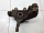 Кулак поворотный передний правый со ступицей Форд C-MAX 2003-2010 1420861