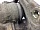 Суппорт тормозной передний левый со скобой Чери С18Д Индис / Бит 2011-2015 S213501050