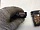 Кнопка обогрева сиденья правого переднего Тойота Camry XV30 V30 2001-2006 8475148070