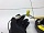 Шлейф подрулевой ленточный SRS AirBag Субару Импреза 1 ГЦ ГФ Г10 1993-2000 98261FC002