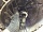 МКПП B5/IB5 для Duratec HE 1.8 Форд Focus 2 2005-2008 1764414