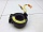 Шлейф подрулевой ленточный SRS AirBag Тойота Camry XV30 V30 2001-2006 8430633080