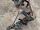 Панель передняя телевизор в сборе Тойота Camry XV30 V30 2001-2006 5320133905