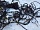 Проводка салонная и подторпедная LHD Тойота Camry XV30 V30 2001-2006 8219933010