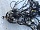 Проводка салонная и подторпедная LHD Тойота Camry XV30 V30 2001-2006 8219933010
