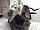 Корпус отопителя салона печки  Тойота Camry XV30 V30 2001-2006 8705033522