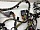 Проводка салонная  Форд Focus 2 2005-2008 6M5T14014UBA