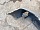 Бампер передний с дефектами Субару Forester 2 SG5 SG9 2002-2008 57704SA000