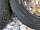 TIGAR SUV ICE 215/65 R16 102T Зимние шипованные 4шт Шины зимние и летние  R16 Зимние шины 