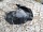 Подкрылок Локер задний левый Хендай Туксон 1-поколения 2004-2010 868232E000