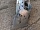 Бампер передний с дефектами Субару Forester 2 SG5 SG9 2002-2008 57704SA000