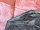 Капот Тойота Camry XV30 V30 2001-2006 5330133070