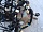 Проводка салонная и подторпедная LHD Тойота Camry XV30 V30 2001-2006 8219933010
