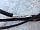 Проводка салонная и подторпедная LHD Тойота Camry XV30 V30 2001-2006 8219933010