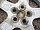 Диск литой R16 5x120 7J ET57 70.1 LR Discovery 2 Диски колесные Разболтовка 5x120 RRC000040