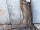 Крыло переднее правое с дефектом Тойота Camry XV30 V30 2001-2006 5380133100