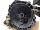 МКПП B5/IB5 для Duratec HE 1.8 Форд Focus 2 2005-2008 1764414