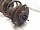 Амортизатор передний левый в сборе с пружиной Тойота Camry XV30 V30 2001-2006 334387