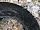 TIGAR SUV ICE 215/65 R16 102T Зимние шипованные 4шт Шины зимние и летние  R16 Зимние шины 